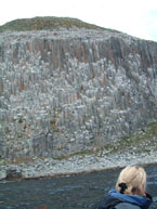 The birds make a loft of mess on the rock !!