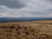 Views from The Whangie
