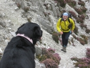 Maisie watching Peter