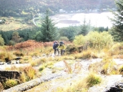 Looking back towards Arrochar