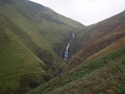 Grey Mares tail