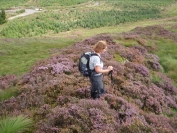 Dorothy in heather