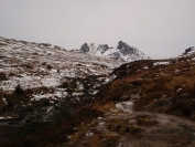 The Cobbler