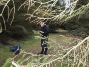 Mark in forest