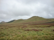 Pentlands