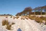 From Black Barn Farm near castle