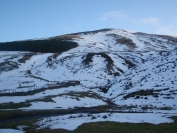 Scald Law