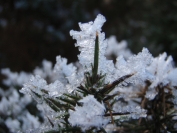 Ice Crystals