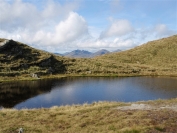 Cobbler from Ptarmigan