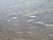 moorland