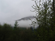 misty mountain