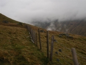 fence line