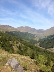 Looking up the glen