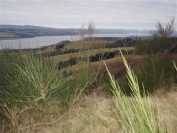 Looking west along the River Clyde