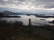 Campsie Hills in the distance