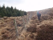 Fenceline to North Gairy