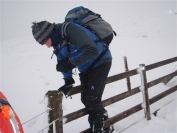 Mark on fence