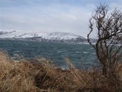 Largs from Cumbrae
