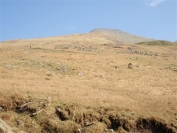 Ben More