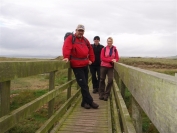 on a bridge over the dunes