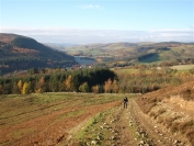 Borders countryside