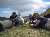 Irene, Harry, Jacqui, Wendy, Gillian and Pat