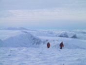 Last rise to summit of Cairngorm