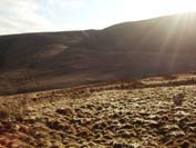 wanlockhead walk